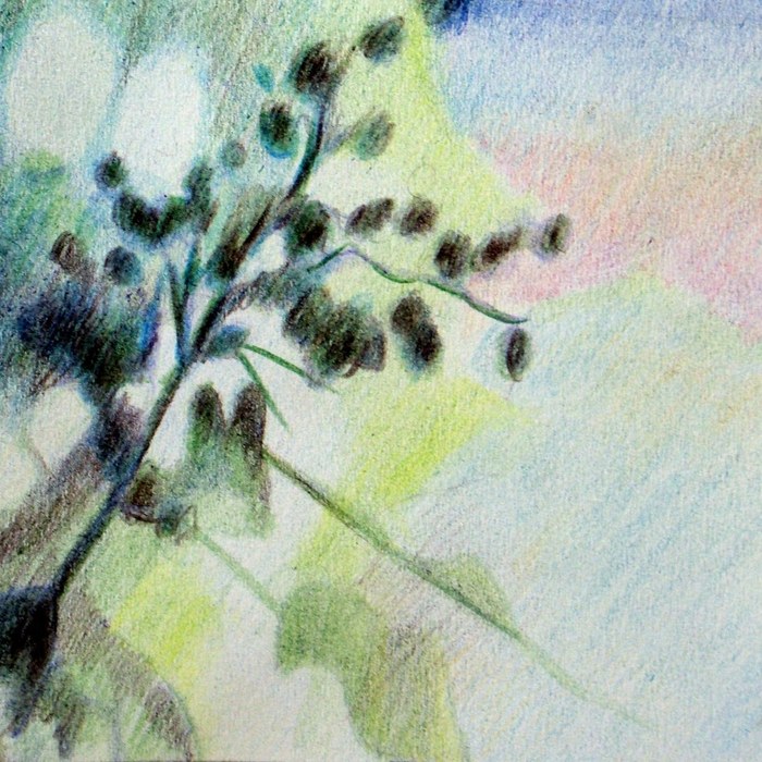 Soft pastel study of a leafy branch and its dappled shadow