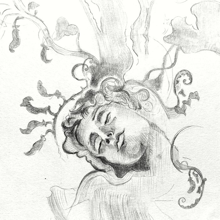 Pencil drawing of a sleeping face wrapped in swirling hair, vines and ornamental flourishes