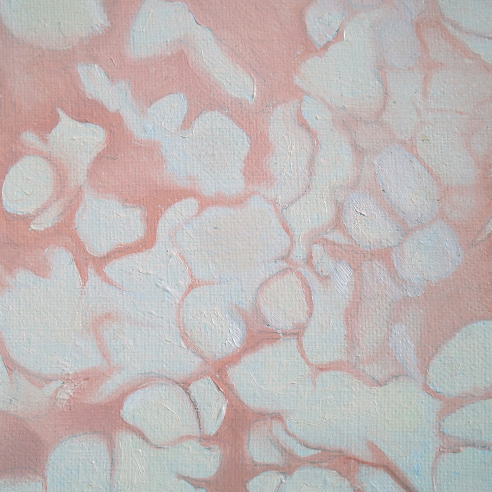 Fourth close-up detail of Soft Petal Light