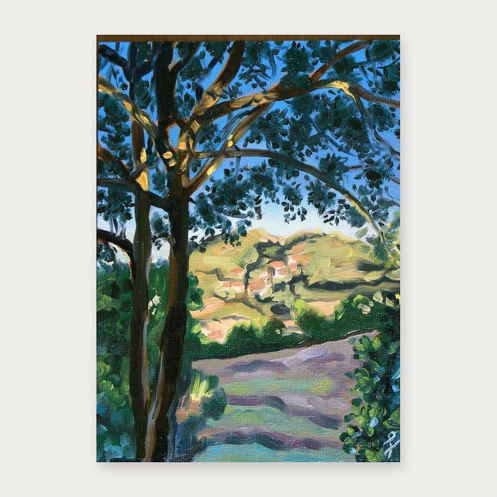The whole of The Wonders of Tuscany by Fiamma Franchetti Bond