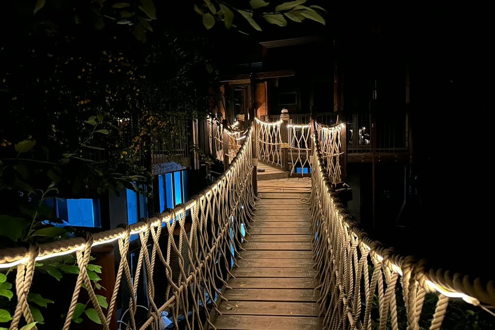 The treehouse rope bridge lit with warm lights at night