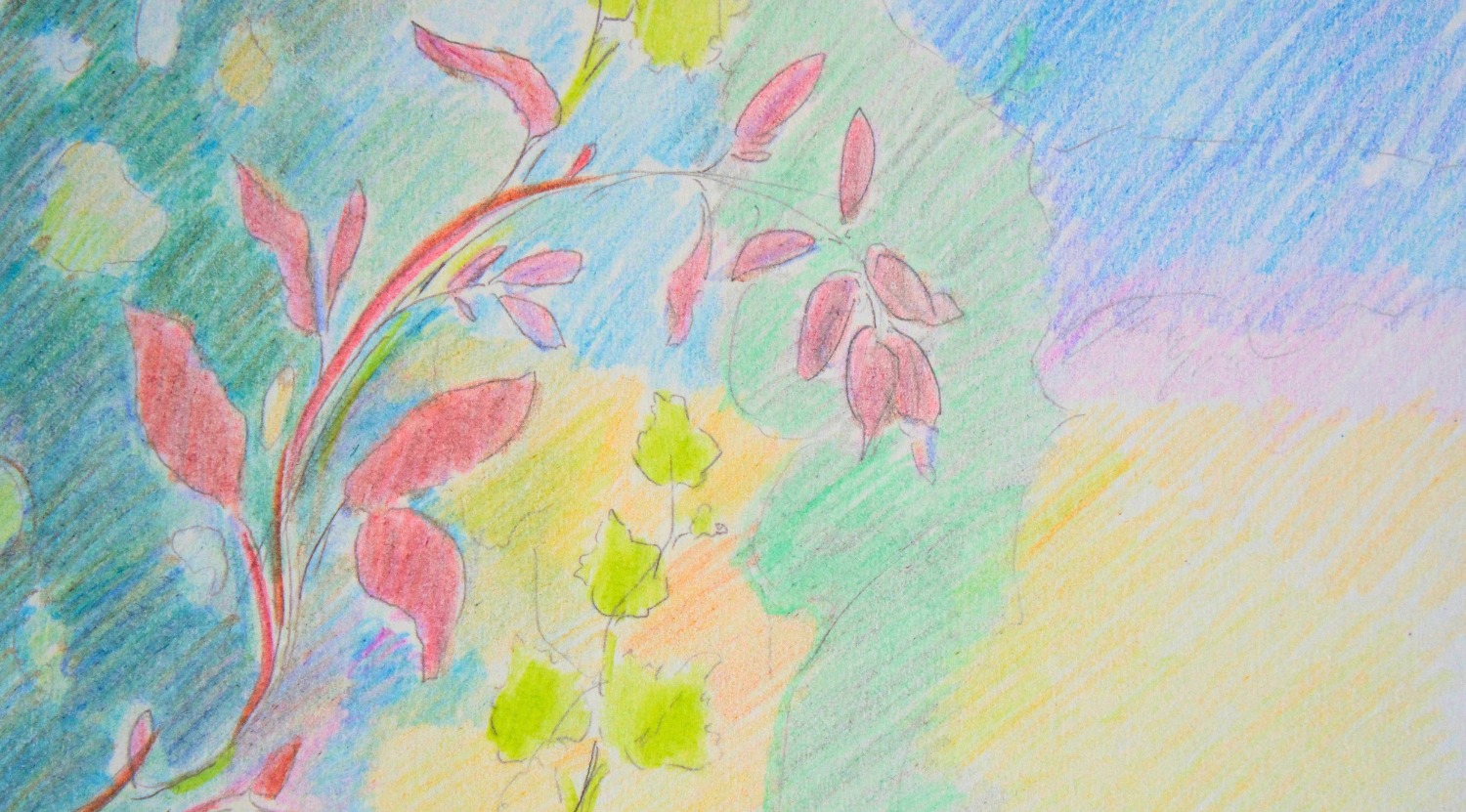 Colour pencil sketch of Twilight Vine, an early study for the painting